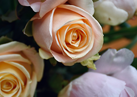 Celebrate Mother’s Day with High Tea